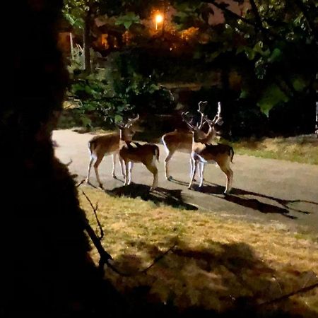 Grandes Chambres Dans Un Corps De Ferme Renove Du Chateau Du Piple, A 16Km De Paris Boissy-Saint-Léger Exteriör bild