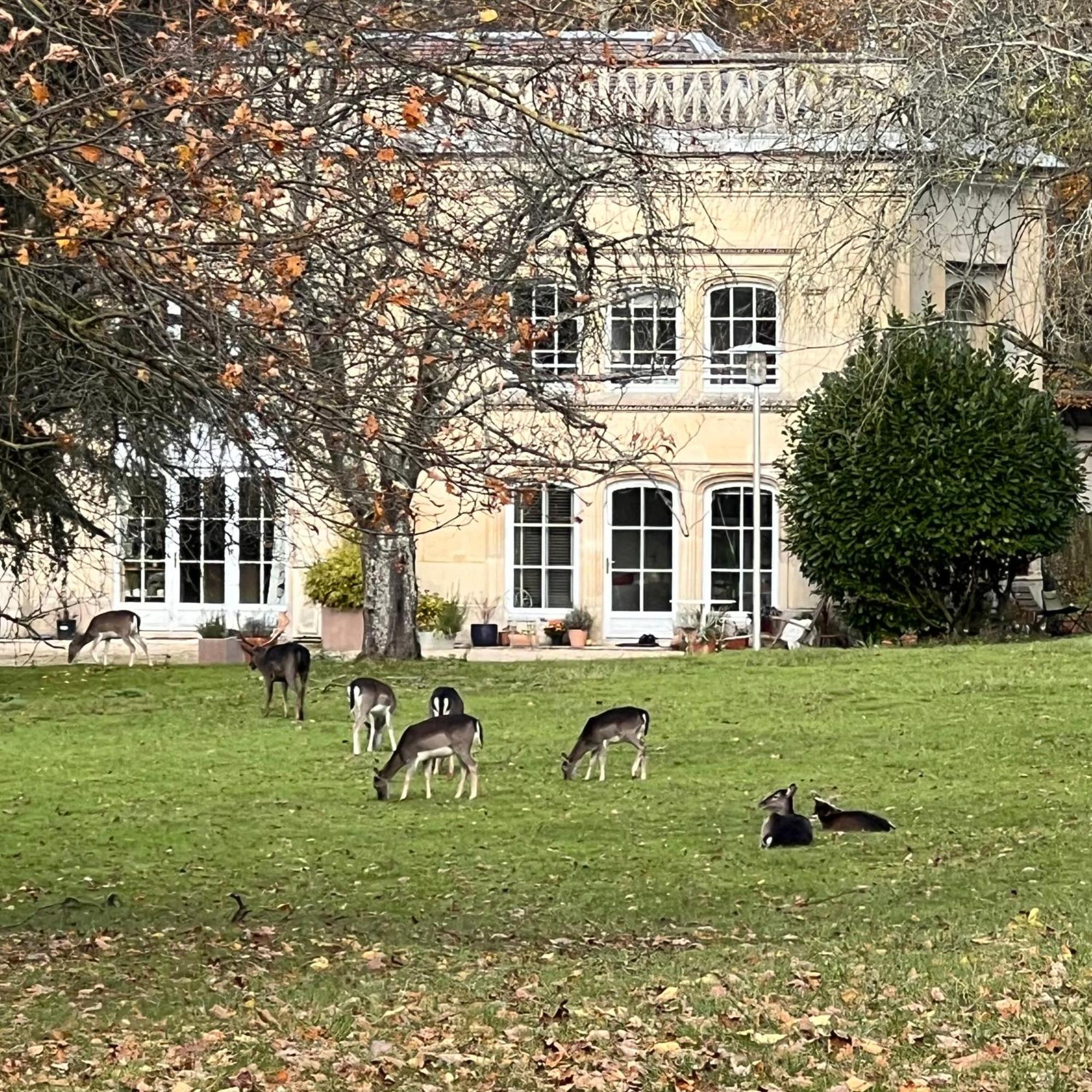 Grandes Chambres Dans Un Corps De Ferme Renove Du Chateau Du Piple, A 16Km De Paris Boissy-Saint-Léger Exteriör bild